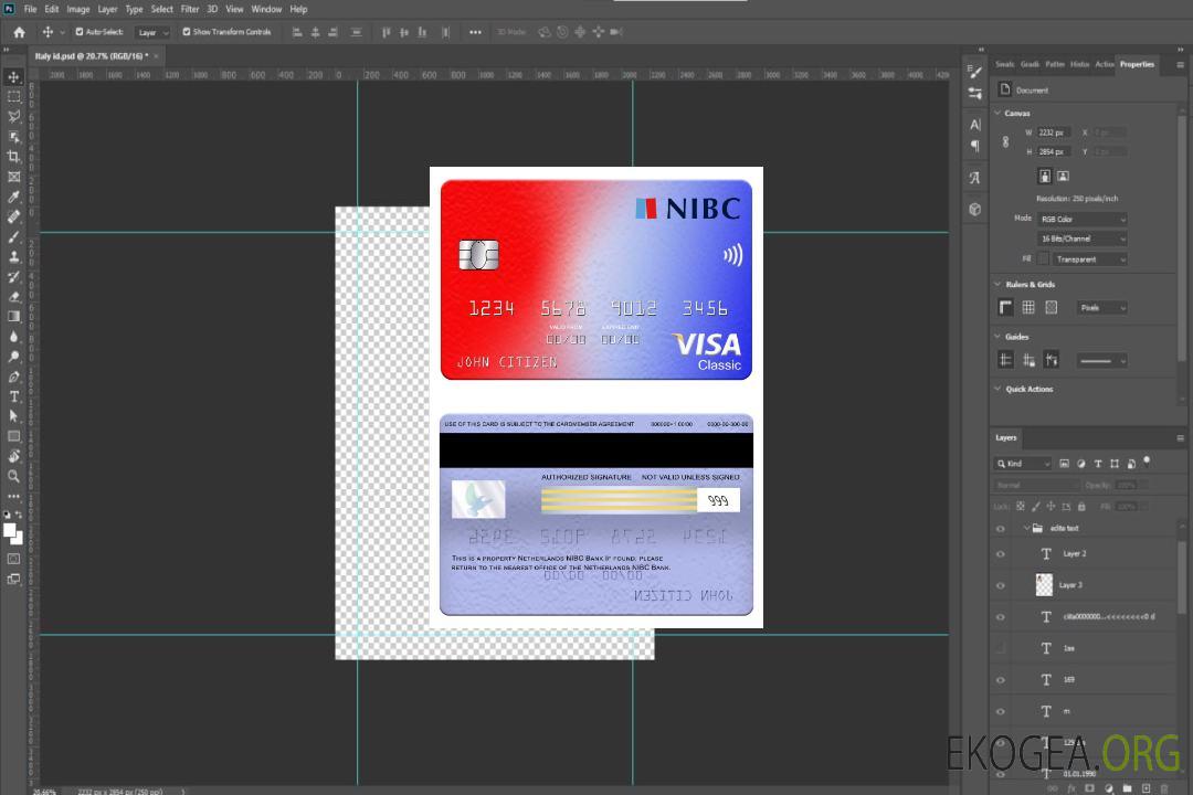 Carte visa classique NIBC Bank Pays-Bas template